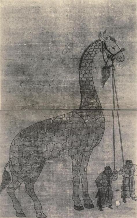 are giraffes originally from china